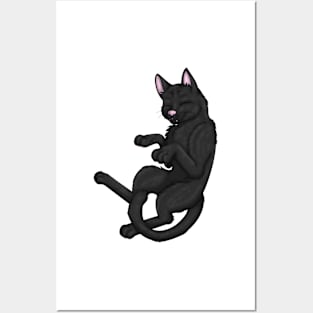 Black Shorthair Posters and Art